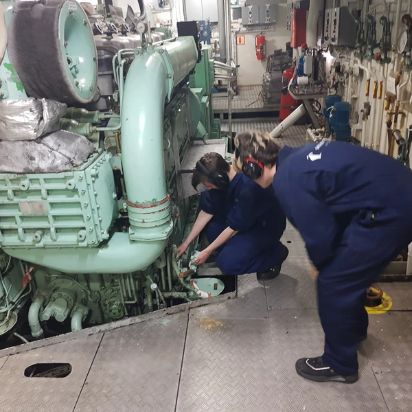 Vi tilbyr følgende linjer: